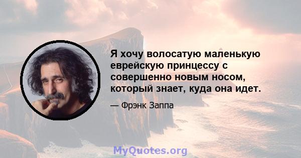 Я хочу волосатую маленькую еврейскую принцессу с совершенно новым носом, который знает, куда она идет.