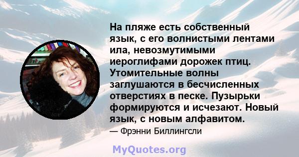 На пляже есть собственный язык, с его волнистыми лентами ила, невозмутимыми иероглифами дорожек птиц. Утомительные волны заглушаются в бесчисленных отверстиях в песке. Пузырьки формируются и исчезают. Новый язык, с