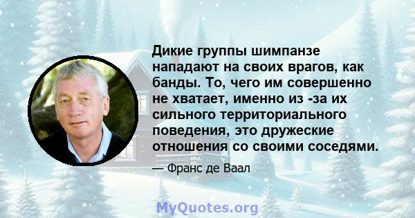 Дикие группы шимпанзе нападают на своих врагов, как банды. То, чего им совершенно не хватает, именно из -за их сильного территориального поведения, это дружеские отношения со своими соседями.