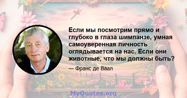 Если мы посмотрим прямо и глубоко в глаза шимпанзе, умная самоуверенная личность оглядывается на нас. Если они животные, что мы должны быть?