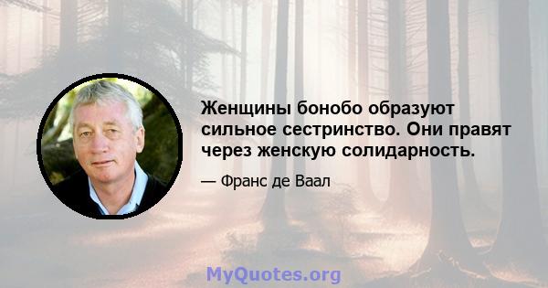 Женщины бонобо образуют сильное сестринство. Они правят через женскую солидарность.