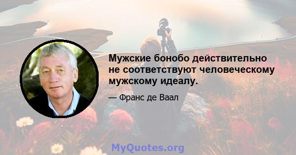 Мужские бонобо действительно не соответствуют человеческому мужскому идеалу.