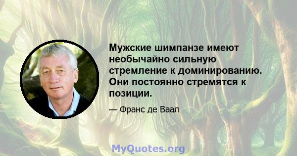 Мужские шимпанзе имеют необычайно сильную стремление к доминированию. Они постоянно стремятся к позиции.