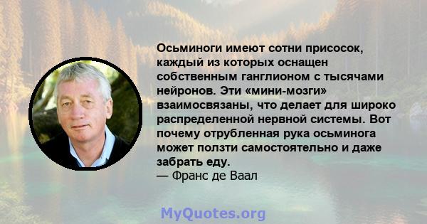 Осьминоги имеют сотни присосок, каждый из которых оснащен собственным ганглионом с тысячами нейронов. Эти «мини-мозги» взаимосвязаны, что делает для широко распределенной нервной системы. Вот почему отрубленная рука