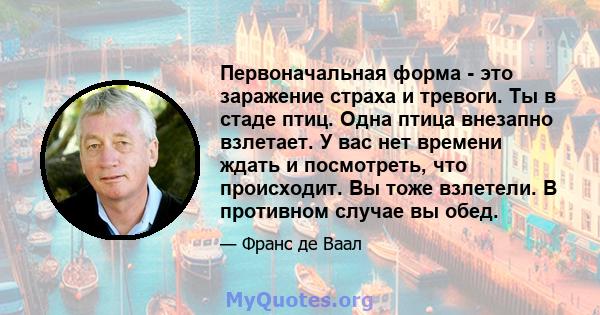 Первоначальная форма - это заражение страха и тревоги. Ты в стаде птиц. Одна птица внезапно взлетает. У вас нет времени ждать и посмотреть, что происходит. Вы тоже взлетели. В противном случае вы обед.