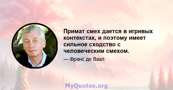 Примат смех дается в игривых контекстах, и поэтому имеет сильное сходство с человеческим смехом.