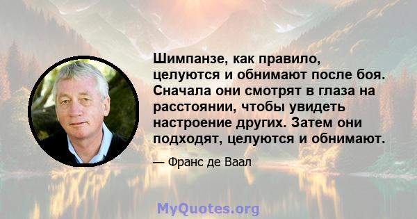 Шимпанзе, как правило, целуются и обнимают после боя. Сначала они смотрят в глаза на расстоянии, чтобы увидеть настроение других. Затем они подходят, целуются и обнимают.