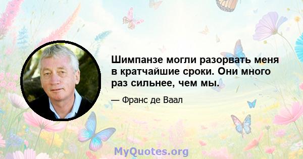 Шимпанзе могли разорвать меня в кратчайшие сроки. Они много раз сильнее, чем мы.