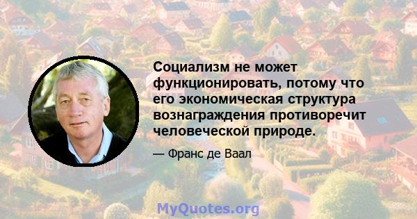 Социализм не может функционировать, потому что его экономическая структура вознаграждения противоречит человеческой природе.