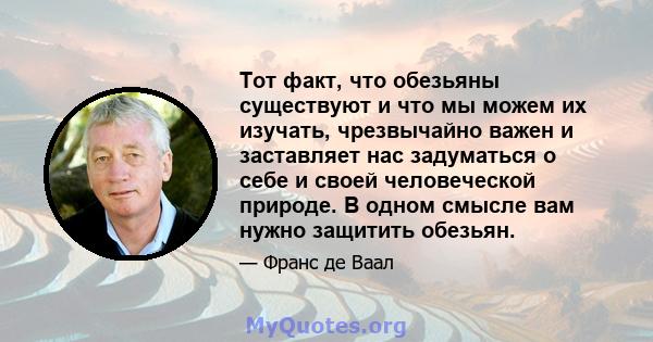 Тот факт, что обезьяны существуют и что мы можем их изучать, чрезвычайно важен и заставляет нас задуматься о себе и своей человеческой природе. В одном смысле вам нужно защитить обезьян.