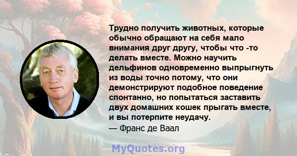 Трудно получить животных, которые обычно обращают на себя мало внимания друг другу, чтобы что -то делать вместе. Можно научить дельфинов одновременно выпрыгнуть из воды точно потому, что они демонстрируют подобное