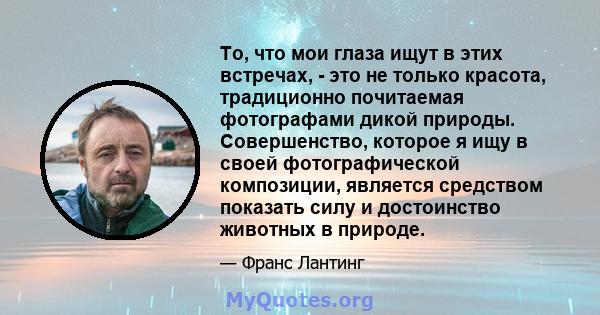 То, что мои глаза ищут в этих встречах, - это не только красота, традиционно почитаемая фотографами дикой природы. Совершенство, которое я ищу в своей фотографической композиции, является средством показать силу и