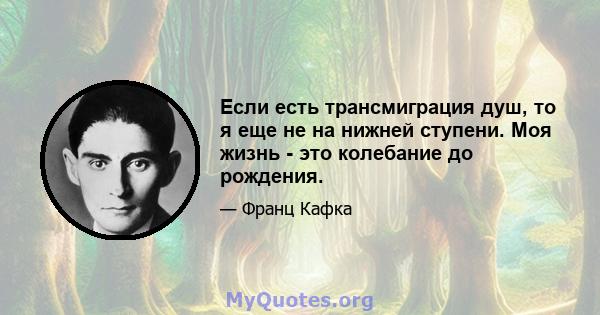 Если есть трансмиграция душ, то я еще не на нижней ступени. Моя жизнь - это колебание до рождения.