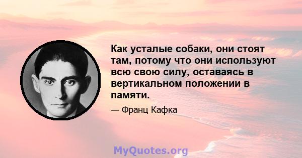 Как усталые собаки, они стоят там, потому что они используют всю свою силу, оставаясь в вертикальном положении в памяти.