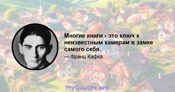 Многие книги - это ключ к неизвестным камерам в замке самого себя.