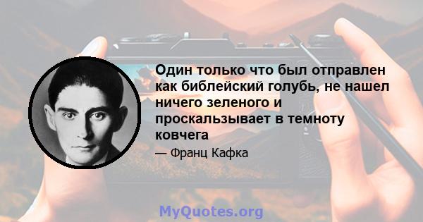 Один только что был отправлен как библейский голубь, не нашел ничего зеленого и проскальзывает в темноту ковчега