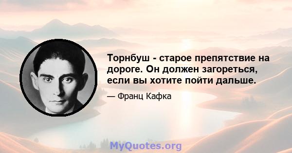 Торнбуш - старое препятствие на дороге. Он должен загореться, если вы хотите пойти дальше.