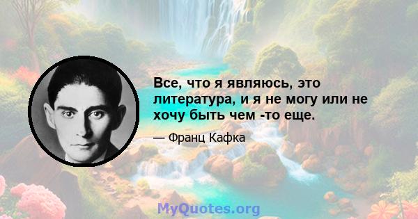 Все, что я являюсь, это литература, и я не могу или не хочу быть чем -то еще.