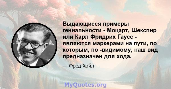 Выдающиеся примеры гениальности - Моцарт, Шекспир или Карл Фридрих Гаусс - являются маркерами на пути, по которым, по -видимому, наш вид предназначен для хода.