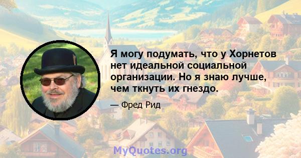 Я могу подумать, что у Хорнетов нет идеальной социальной организации. Но я знаю лучше, чем ткнуть их гнездо.