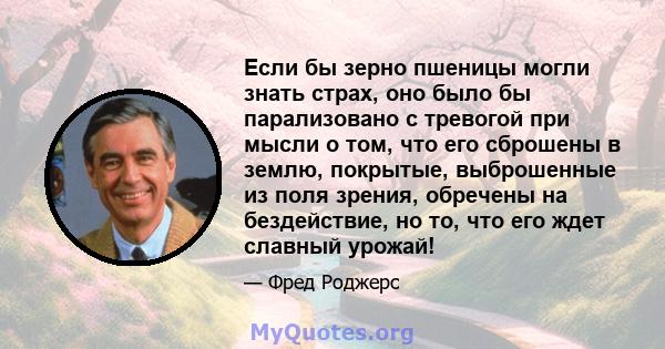 Если бы зерно пшеницы могли знать страх, оно было бы парализовано с тревогой при мысли о том, что его сброшены в землю, покрытые, выброшенные из поля зрения, обречены на бездействие, но то, что его ждет славный урожай!