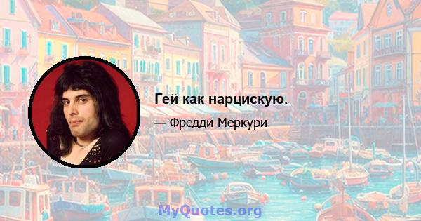 Гей как нарцискую.