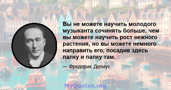 Вы не можете научить молодого музыканта сочинять больше, чем вы можете научить рост нежного растения, но вы можете немного направить его, посадив здесь палку и палку там.