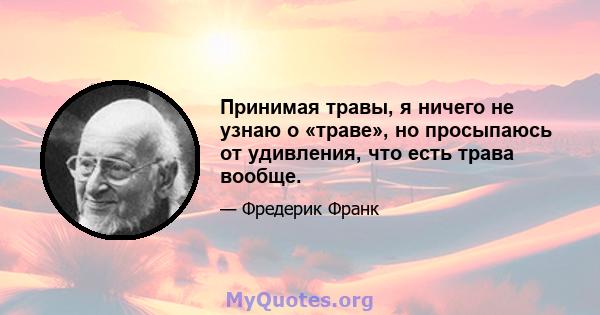 Принимая травы, я ничего не узнаю о «траве», но просыпаюсь от удивления, что есть трава вообще.