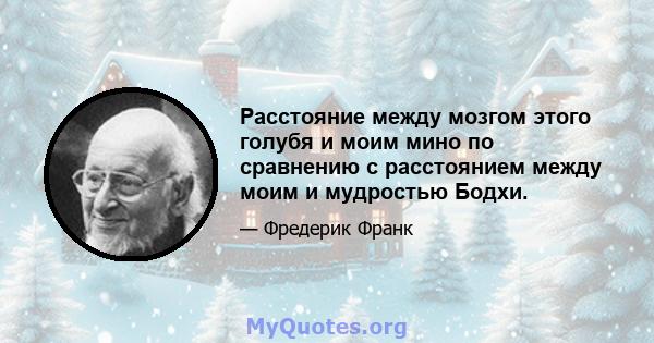 Расстояние между мозгом этого голубя и моим мино по сравнению с расстоянием между моим и мудростью Бодхи.