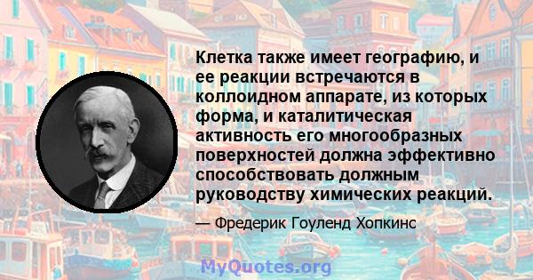 Клетка также имеет географию, и ее реакции встречаются в коллоидном аппарате, из которых форма, и каталитическая активность его многообразных поверхностей должна эффективно способствовать должным руководству химических