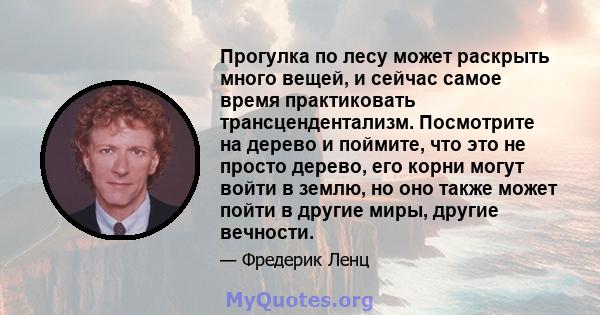 Прогулка по лесу может раскрыть много вещей, и сейчас самое время практиковать трансцендентализм. Посмотрите на дерево и поймите, что это не просто дерево, его корни могут войти в землю, но оно также может пойти в