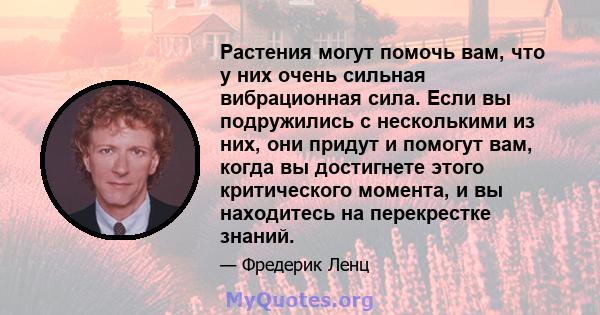 Растения могут помочь вам, что у них очень сильная вибрационная сила. Если вы подружились с несколькими из них, они придут и помогут вам, когда вы достигнете этого критического момента, и вы находитесь на перекрестке