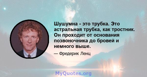 Шушумна - это трубка. Это астральная трубка, как тростник. Он проходит от основания позвоночника до бровей и немного выше.