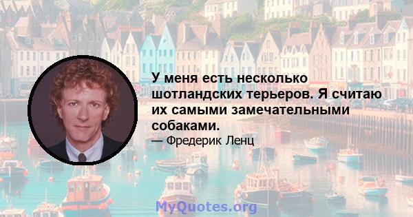 У меня есть несколько шотландских терьеров. Я считаю их самыми замечательными собаками.