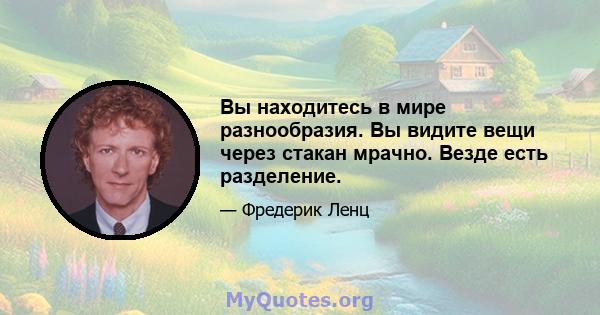 Вы находитесь в мире разнообразия. Вы видите вещи через стакан мрачно. Везде есть разделение.