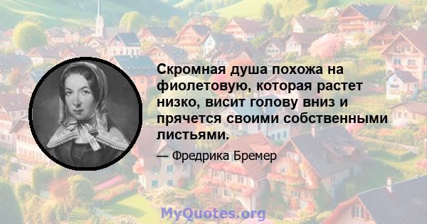 Скромная душа похожа на фиолетовую, которая растет низко, висит голову вниз и прячется своими собственными листьями.