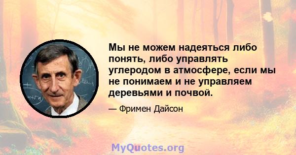 Мы не можем надеяться либо понять, либо управлять углеродом в атмосфере, если мы не понимаем и не управляем деревьями и почвой.