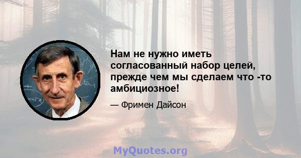 Нам не нужно иметь согласованный набор целей, прежде чем мы сделаем что -то амбициозное!