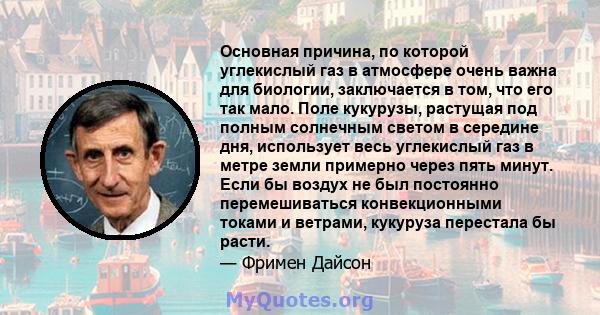 Основная причина, по которой углекислый газ в атмосфере очень важна для биологии, заключается в том, что его так мало. Поле кукурузы, растущая под полным солнечным светом в середине дня, использует весь углекислый газ в 