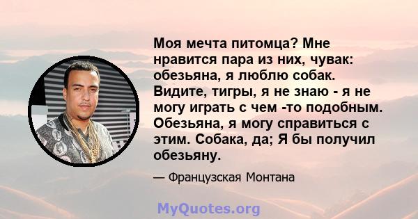 Моя мечта питомца? Мне нравится пара из них, чувак: обезьяна, я люблю собак. Видите, тигры, я не знаю - я не могу играть с чем -то подобным. Обезьяна, я могу справиться с этим. Собака, да; Я бы получил обезьяну.