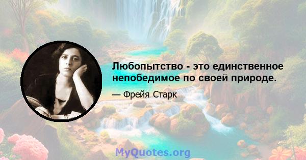 Любопытство - это единственное непобедимое по своей природе.