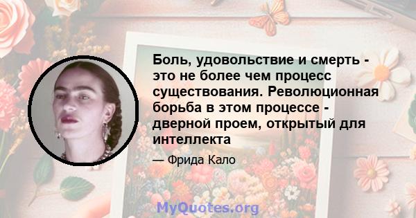 Боль, удовольствие и смерть - это не более чем процесс существования. Революционная борьба в этом процессе - дверной проем, открытый для интеллекта