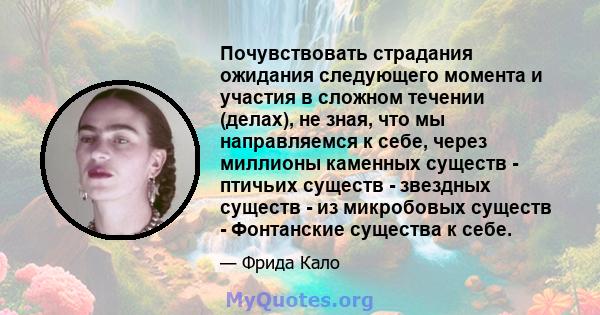 Почувствовать страдания ожидания следующего момента и участия в сложном течении (делах), не зная, что мы направляемся к себе, через миллионы каменных существ - птичьих существ - звездных существ - из микробовых существ