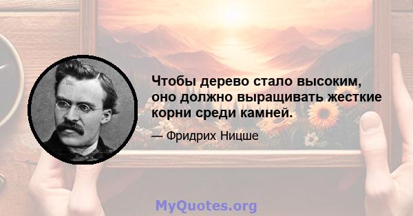 Чтобы дерево стало высоким, оно должно выращивать жесткие корни среди камней.