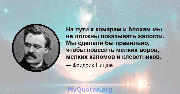 На пути к комарам и блохам мы не должны показывать жалости. Мы сделали бы правильно, чтобы повесить мелких воров, мелких каломов и клеветников.