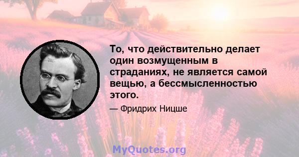 То, что действительно делает один возмущенным в страданиях, не является самой вещью, а бессмысленностью этого.