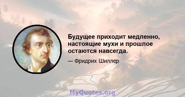 Будущее приходит медленно, настоящие мухи и прошлое остаются навсегда.