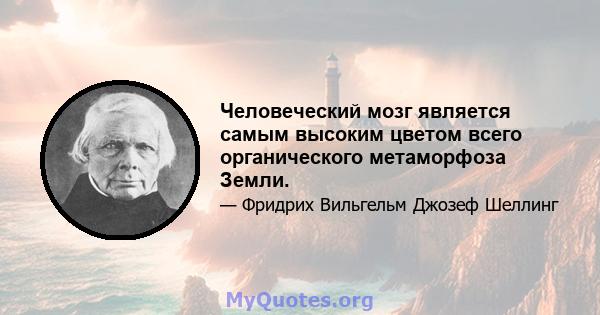 Человеческий мозг является самым высоким цветом всего органического метаморфоза Земли.