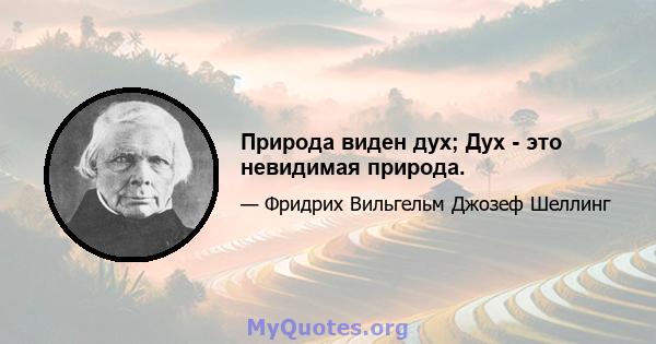 Природа виден дух; Дух - это невидимая природа.