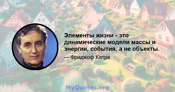 Элементы жизни - это динамические модели массы и энергии, события, а не объекты.